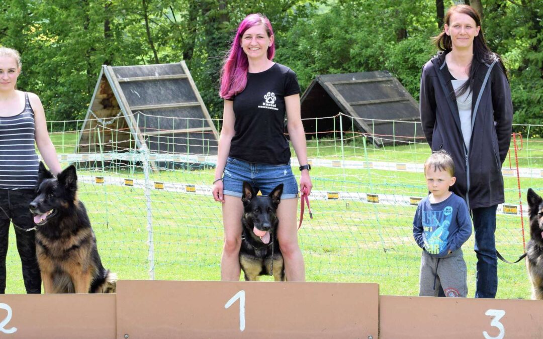 Rückblick: Zehntes Schwälmer Hunderennen in Obergrenzebach