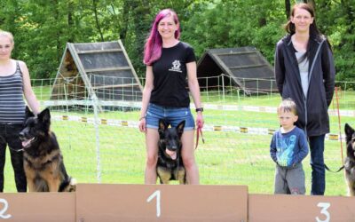 Rückblick: Zehntes Schwälmer Hunderennen in Obergrenzebach
